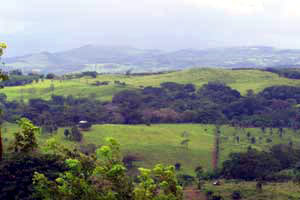 Above Los Angeles the pastured and forested hills climb toward the Lake Arenal mountains. 